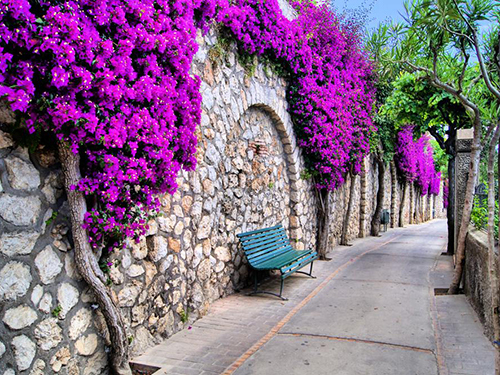 Naples Italy Gardens of Augusts Sightseeing Excursion Prices