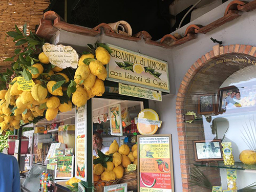 Naples Capri Sightseeing Tour Cost