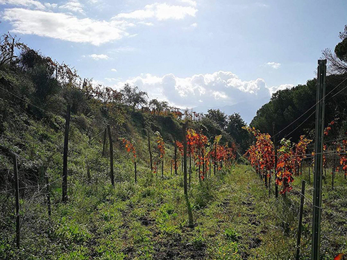 Naples Italy Volcano Cruise Excursion Prices