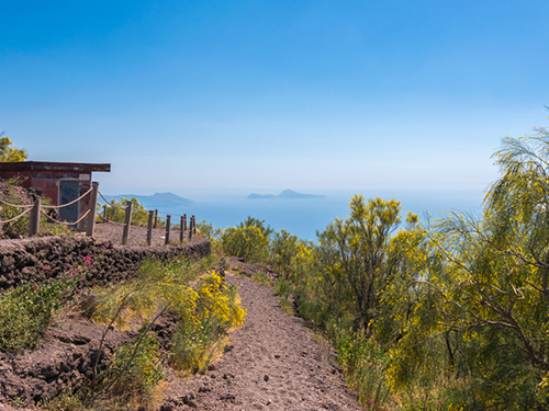 Naples Vulcanological guide Shore Excursion Tickets