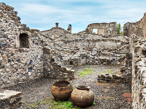 Naples Sorrentino Vini Cruise Excursion Tickets