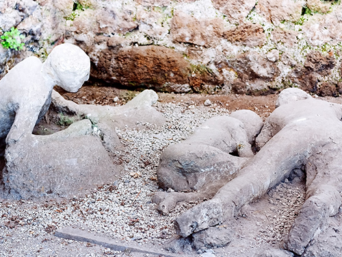 Naples Italy Volcano Shore Excursion Cost