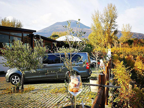 Naples Italy Pompeii Walking Tour Tickets