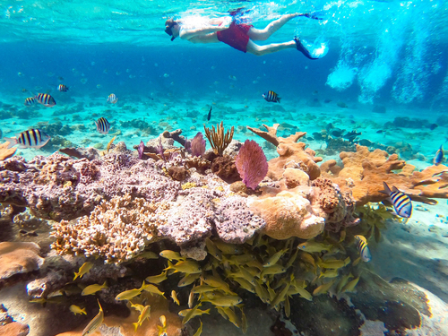 Nassau Beach Escape Beach Excursion Reservations