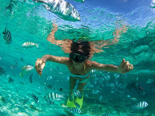 Nassau Fish Fry Sightseeing Trip Tickets