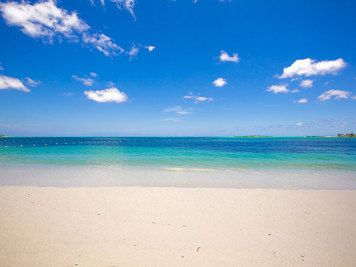 Nassau On land activities Day Pass Trip Cost