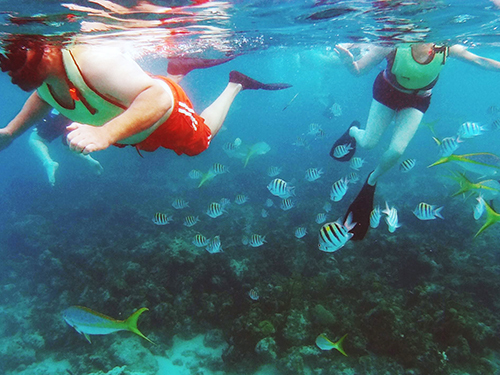 Nassau Paradise Island Snorkel Excursion Reviews