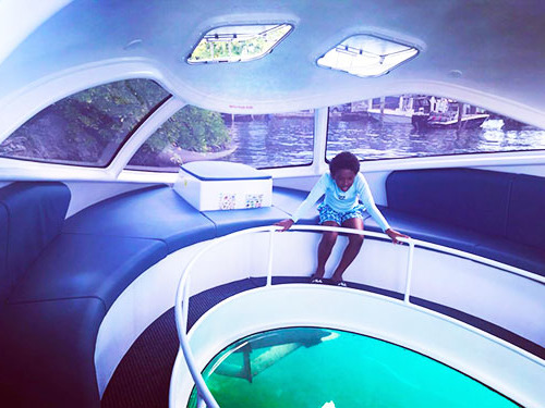 Nassau Glass Bottom Boat Shore Excursion Reservations