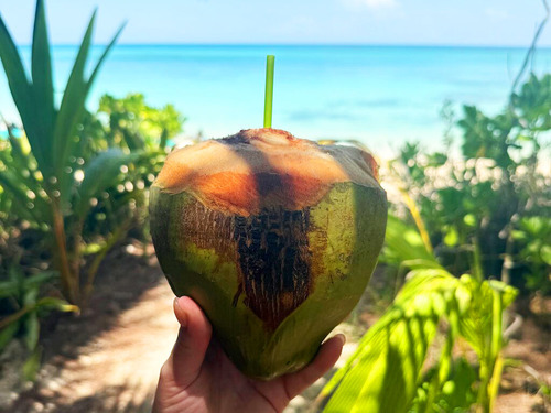 Nassau Kayaking, Snorkel, and Beach Escape Excursion