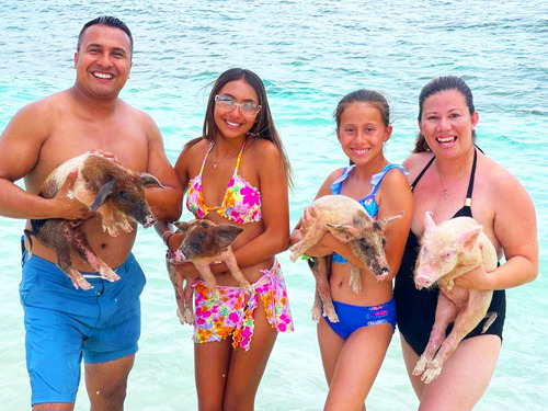 Nassau  Bahamas Swimming with Pigs Shore Excursion Booking