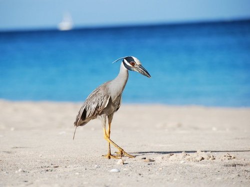 St. Johns Antigua sightseeing Trip Reviews