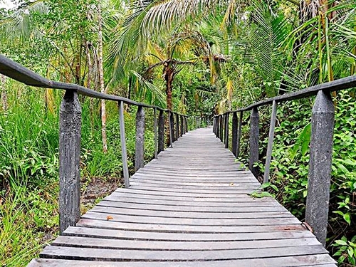 Puntarenas rain forest Cruise Excursion Booking