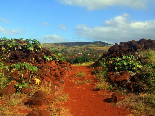 Nawiliwili - Kauai Canyon Hike Sightseeing Excursion Reviews