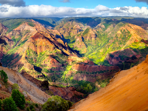 Nawiliwili - Kauai  Hawaii / USA Canyon Hike Sightseeing Trip Booking