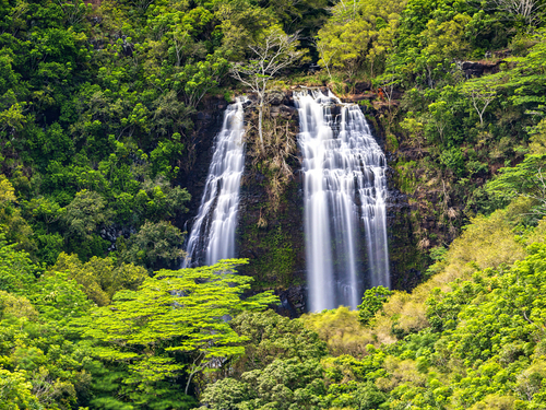 Nawiliwili - Kauai Wailua Falls Shore Excursion Booking