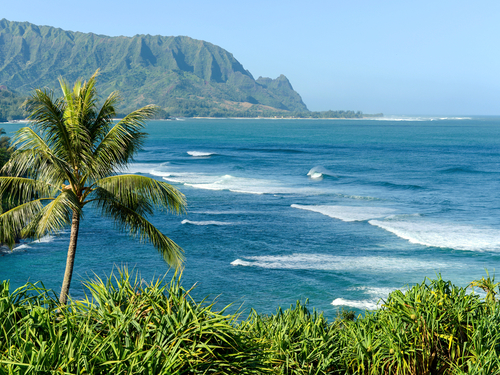 Nawiliwili Kauai Kalhiwai Bay Tour Reviews