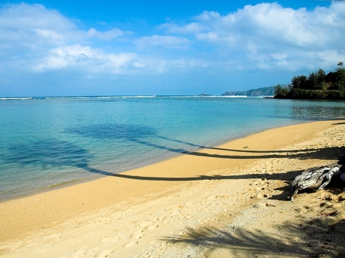 Nawiliwili Kauai  Shore Excursion Reviews