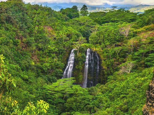 Nawiliwili Kauai Anini Beach Excursion Tickets