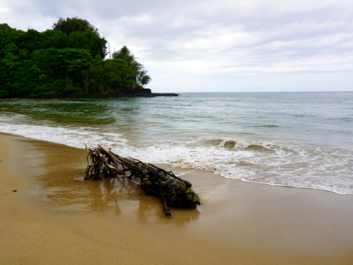 Nawiliwili Kauai Kilauea lighthouse Cruise Excursion Tickets