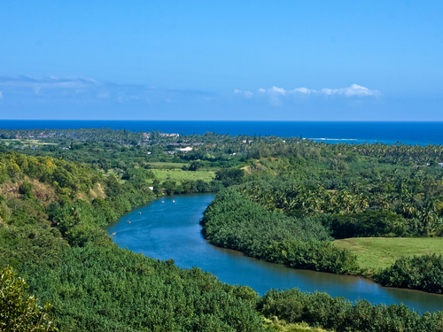 Kauai (Nawiliwili) Hawaii / USA Wailua River Cruise Excursion Cost