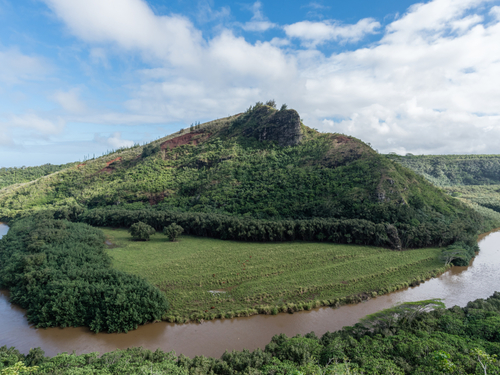 Kauai (Nawiliwili) Hawaii / USA Fern Grotto Trip Tickets