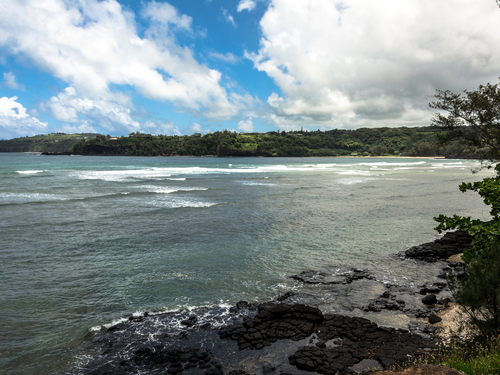 Nawiliwili Kauai Kalhiwai Bay Shore Excursion Prices