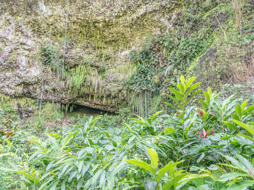 Nawiliwili Kauai Opaeka'a Shore Excursion Reviews