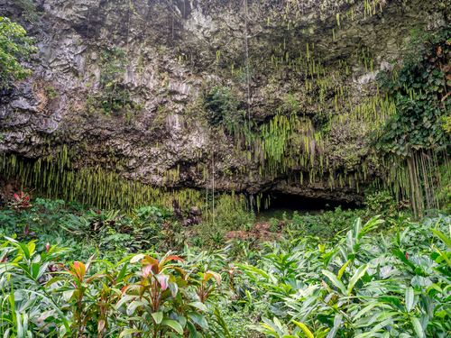Kauai (Nawiliwili) fern grotto Cruise Excursion Prices
