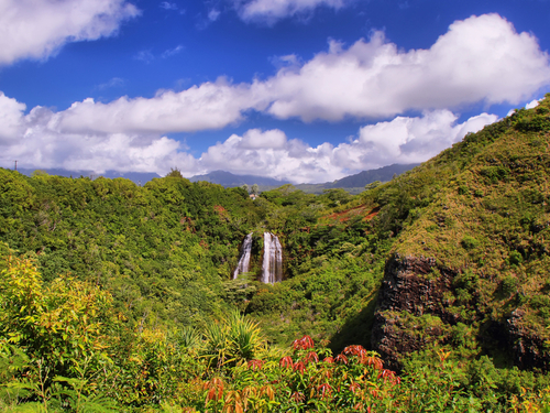 Kauai (Nawiliwili) Hawaii / USA fern grotto Cruise Excursion Prices