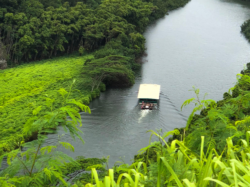 Kauai (Nawiliwili) fern grotto Cruise Excursion Reviews