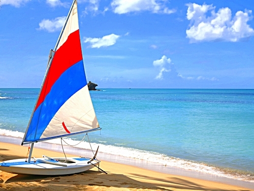 Antigua Fig Tree Drive Shore Excursion Booking