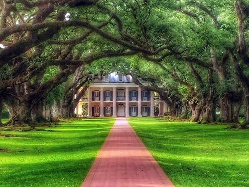 New Orleans  Louisiana / USA Oak Alley Plantation Tour Booking