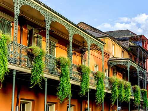 New Orleans Tulane and Loyola Universities Cruise Excursion Cost