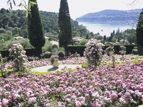 Nice (Villefranche) art Cruise Excursion Reviews