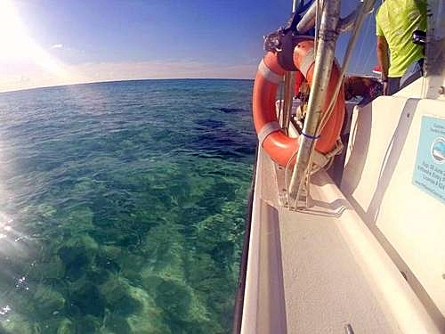 Grand Cayman scuba diving Trip Prices