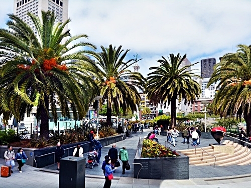 San Francisco sightsee Cruise Excursion Reviews