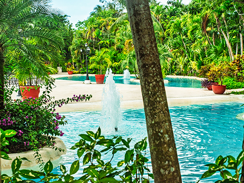 Occidental Cozumel Beach Resort Day Pass Excursion