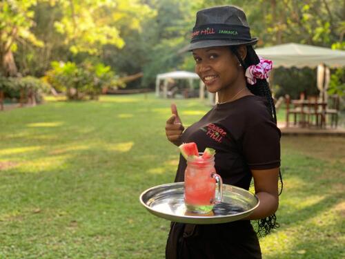 Ocho Rios Ocho Rios Blue Hole, Dunn's River Falls, Lunch and Cocktails at Reggae Hill Tour Prices