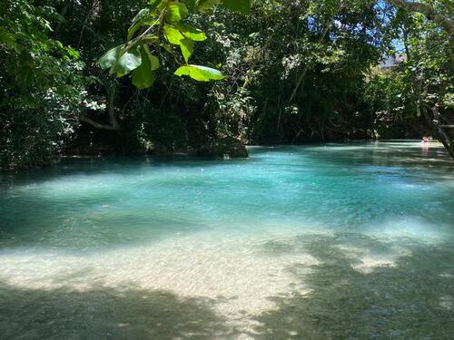 Ocho Rios Ocho Rios Blue Hole, Dunn's River Falls, Lunch and Cocktails at Reggae Hill Excursion Reservations