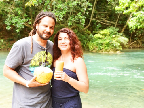 Jamaica Ocho Rios Blue Hole, Dunn's River Falls, Lunch and Cocktails at Reggae Hill Excursion Reservations