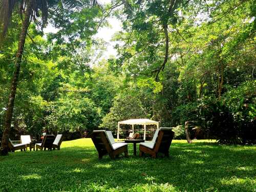 Jamaica Ocho Rios Blue Hole, Dunn's River Falls, Lunch and Cocktails at Reggae Hill Tour Reviews