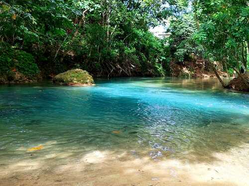 Ocho Rios Ocho Rios Blue Hole, Dunn's River Falls, Lunch and Cocktails at Reggae Hill Tour Reservations