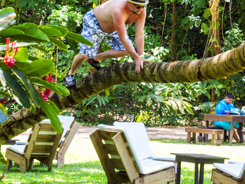 Ocho Rios Dunn's River Falls Excursion with Cocktails and Lunch at Reggae Hill 