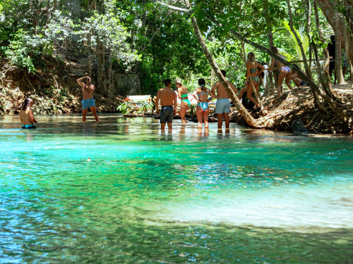 Ocho Rios Dunn's River Falls Excursion with Cocktails and Lunch at Reggae Hill 
