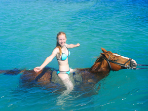 Ocho Rios Horseback Riding and Ocean Swim Excursion at Private Beach