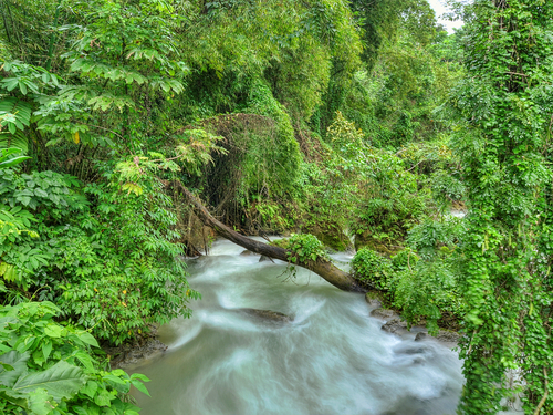 Ocho Rios  Jamaica Bengal Falls Tour