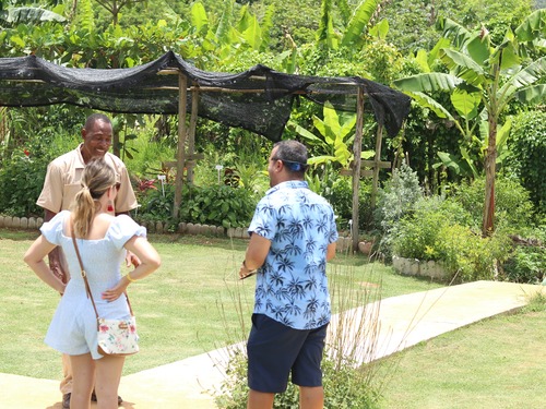 Ocho Rios  Jamaica Flora and Fauna Cruise Excursion Tickets