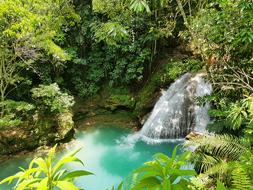Ocho Rios Jamaica Jungle Sightseeing Shore Excursion Cost