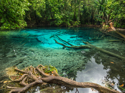 Ocho Rios kayak and beach Tour Tickets