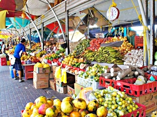 Curacao Willemstad downtown sightseeing Shore Excursion Cost